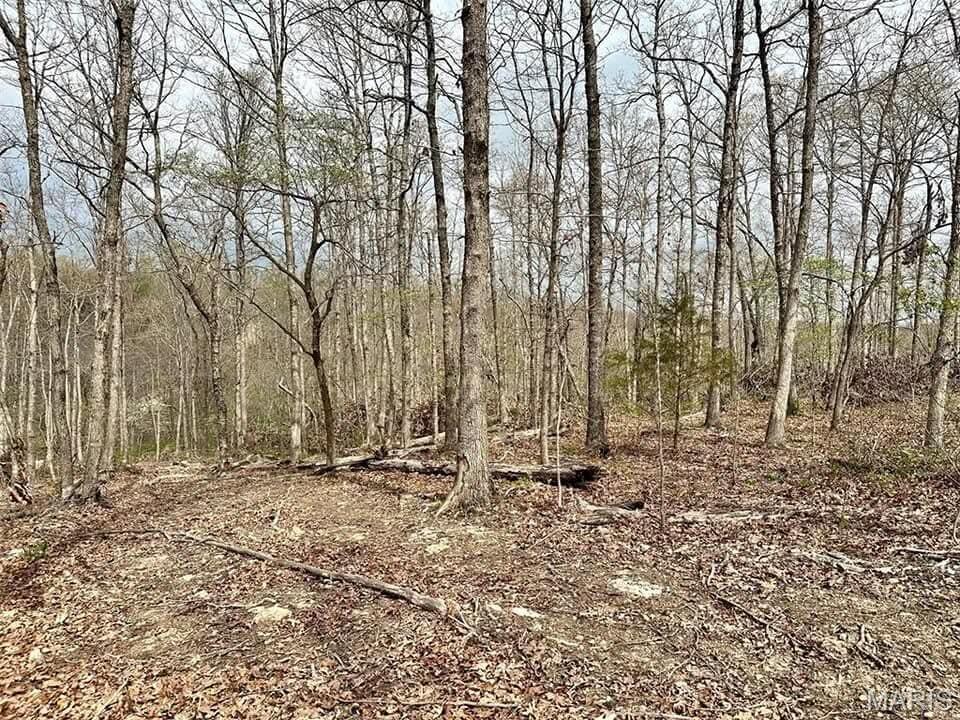 000 Forest Drive Property Photo 10