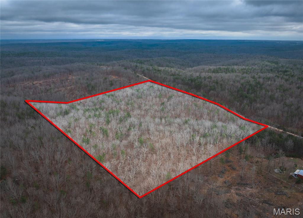 16.01 Acres Pine Meadow Trail Property Photo 1