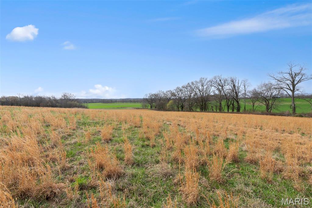 8075 State Highway A (tract 2) Property Photo 16