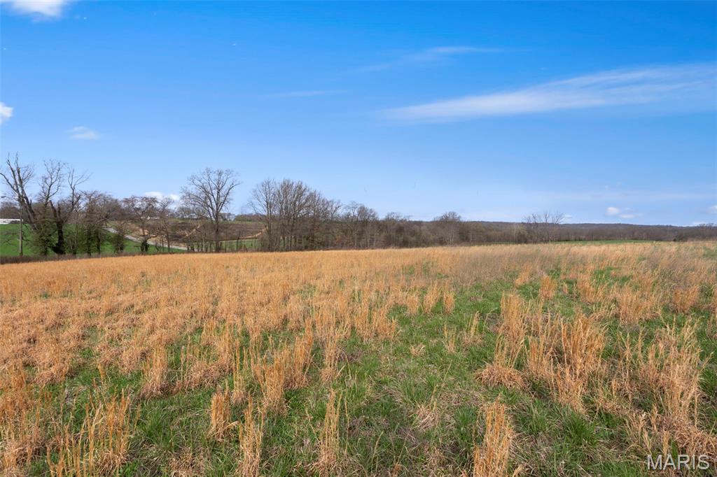 8075 State Highway A (tract 2) Property Photo 17