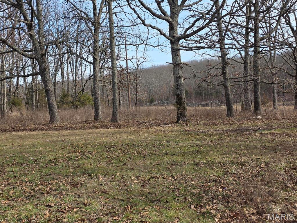 10550 Mill Road Property Photo 33