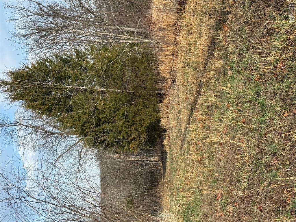 21050 Eatherton Road Property Photo 8