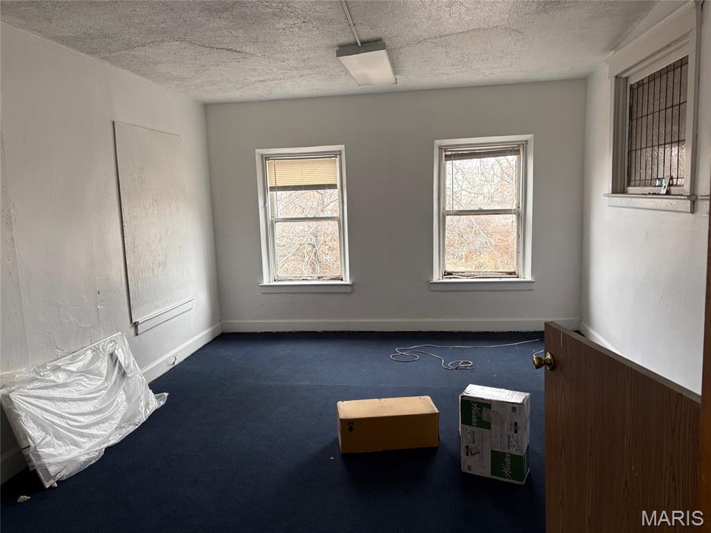 4301 Page Boulevard Property Photo 15