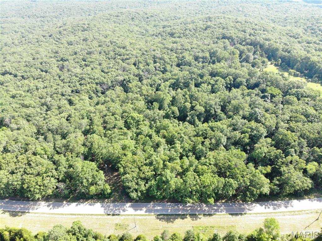 Tbb State Hwy N Property Photo 7