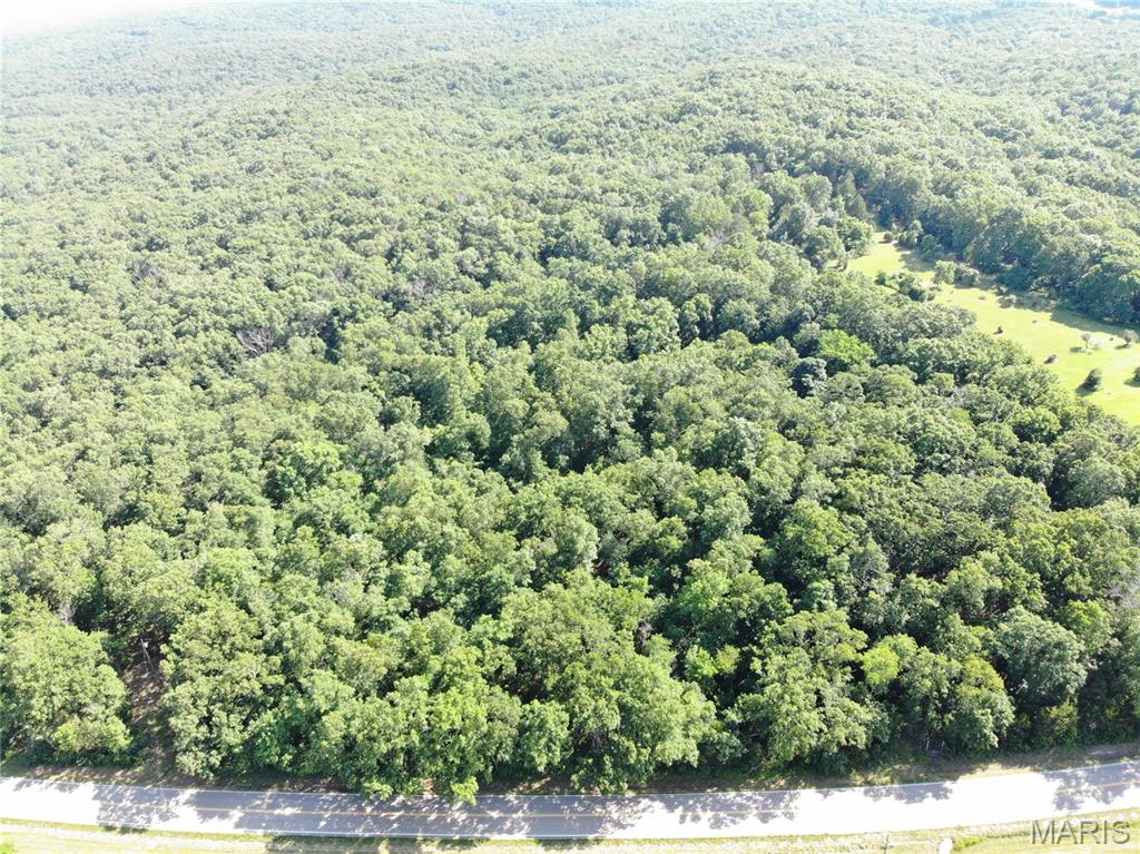 Tbb State Hwy N Property Photo 8