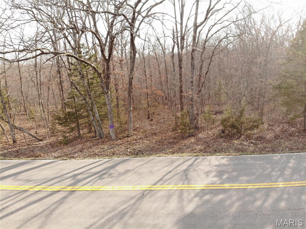 Tbb State Hwy N Property Photo 16