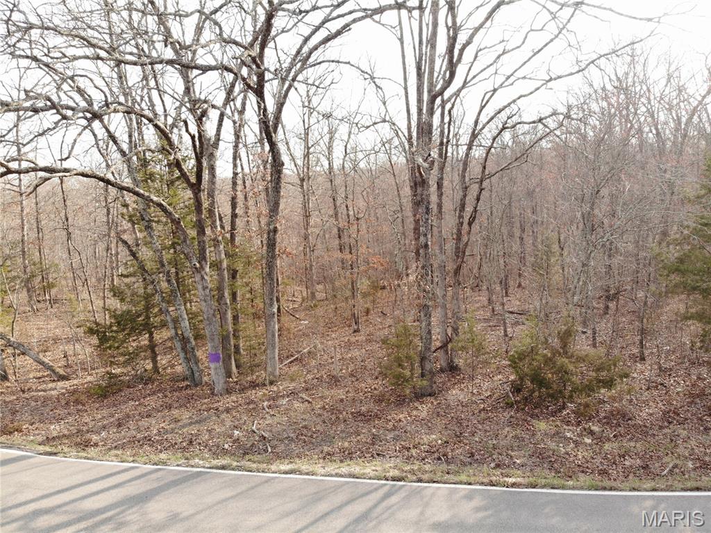 Tbb State Hwy N Property Photo 17