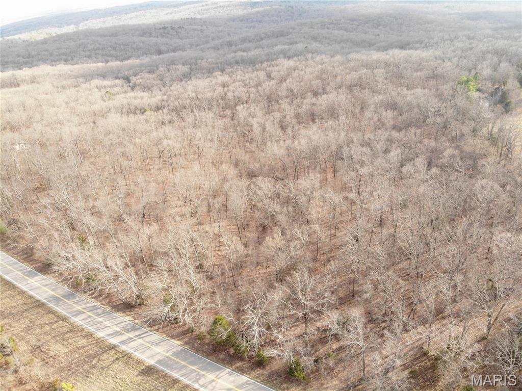 Tbb State Hwy N Property Photo 19