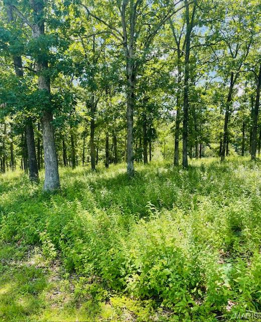 0 Krausetown Road Property Photo 1