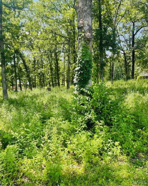 0 Krausetown Road Property Photo 2
