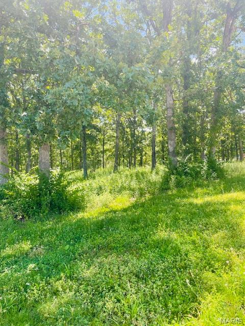 0 Krausetown Road Property Photo 1