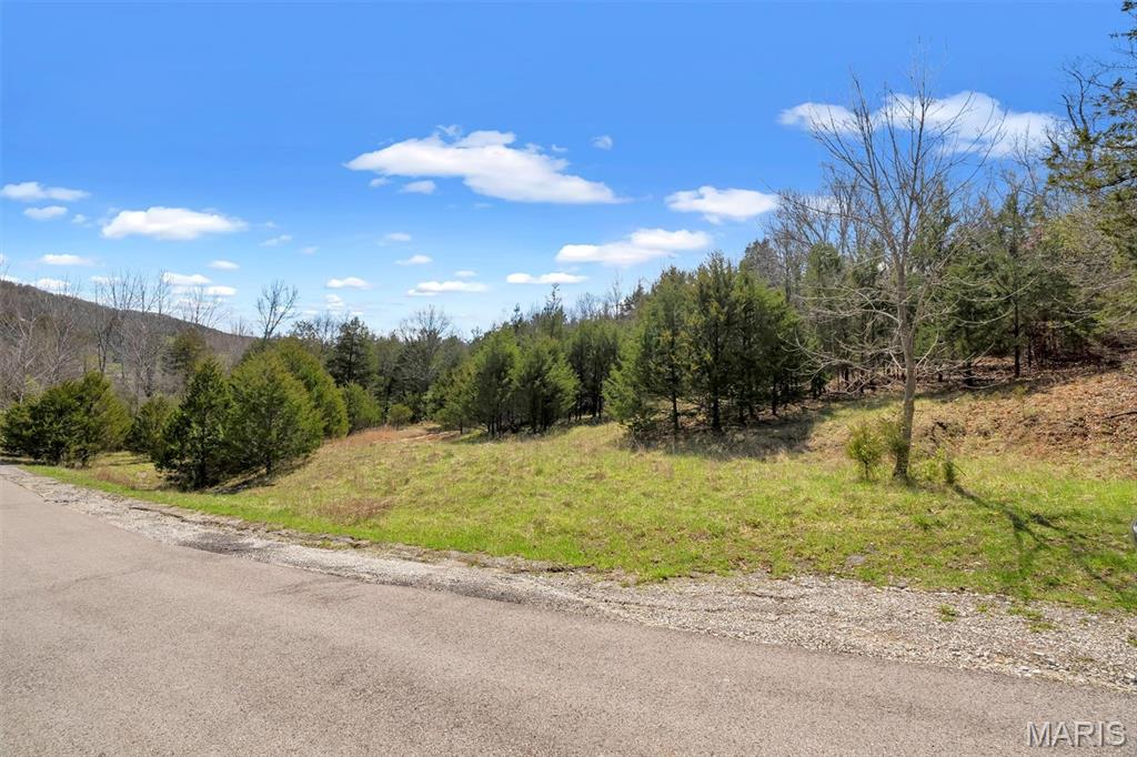 Lot 1 Freeman Property Photo 2