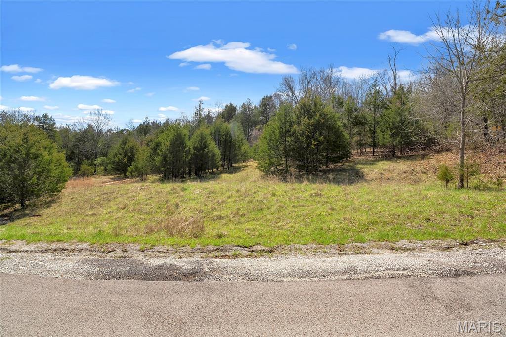 Lot 1 Freeman Property Photo 15