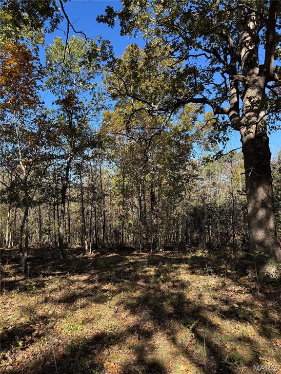 000 Highway 28 Property Photo 10