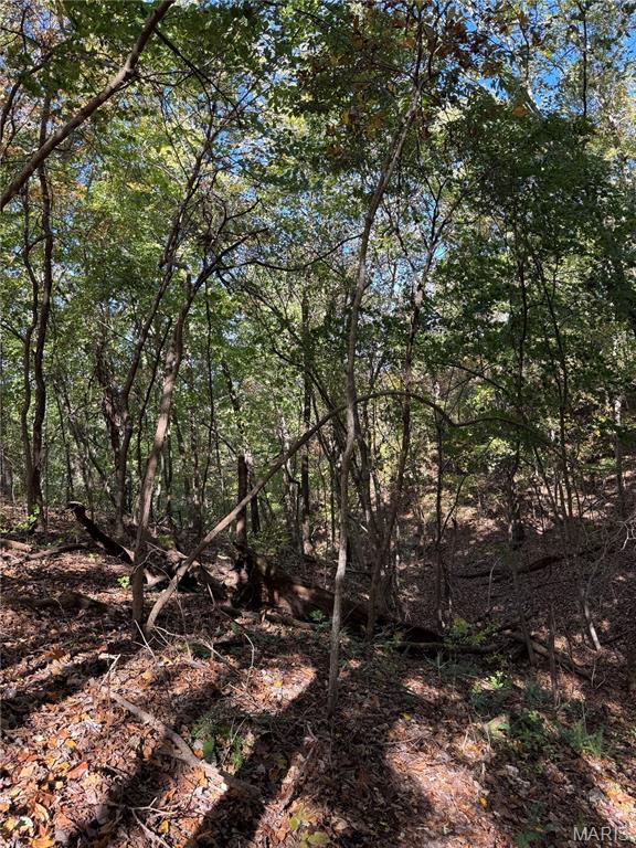 000 Highway 28 Property Photo 11