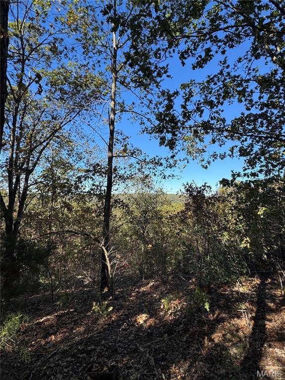 000 Highway 28 Property Photo 12