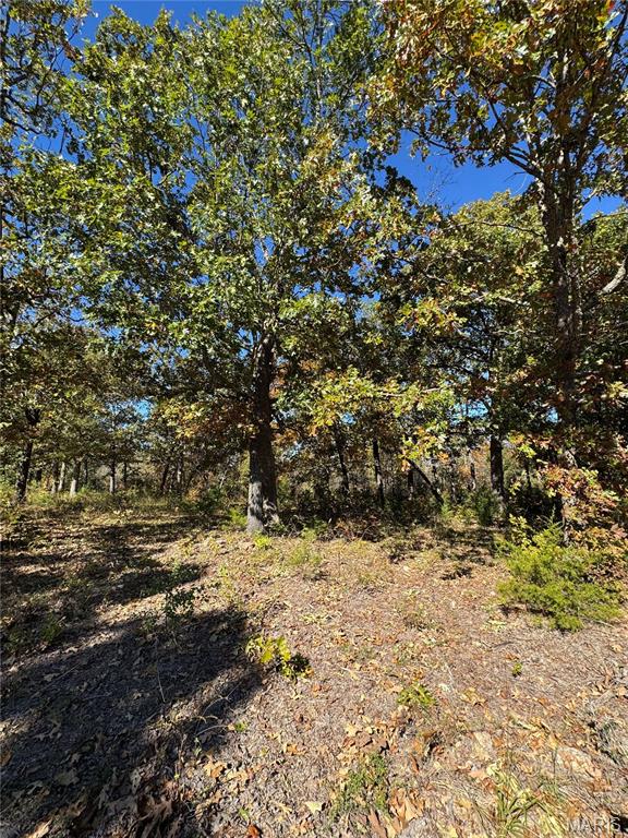 000 Highway 28 Property Photo 14