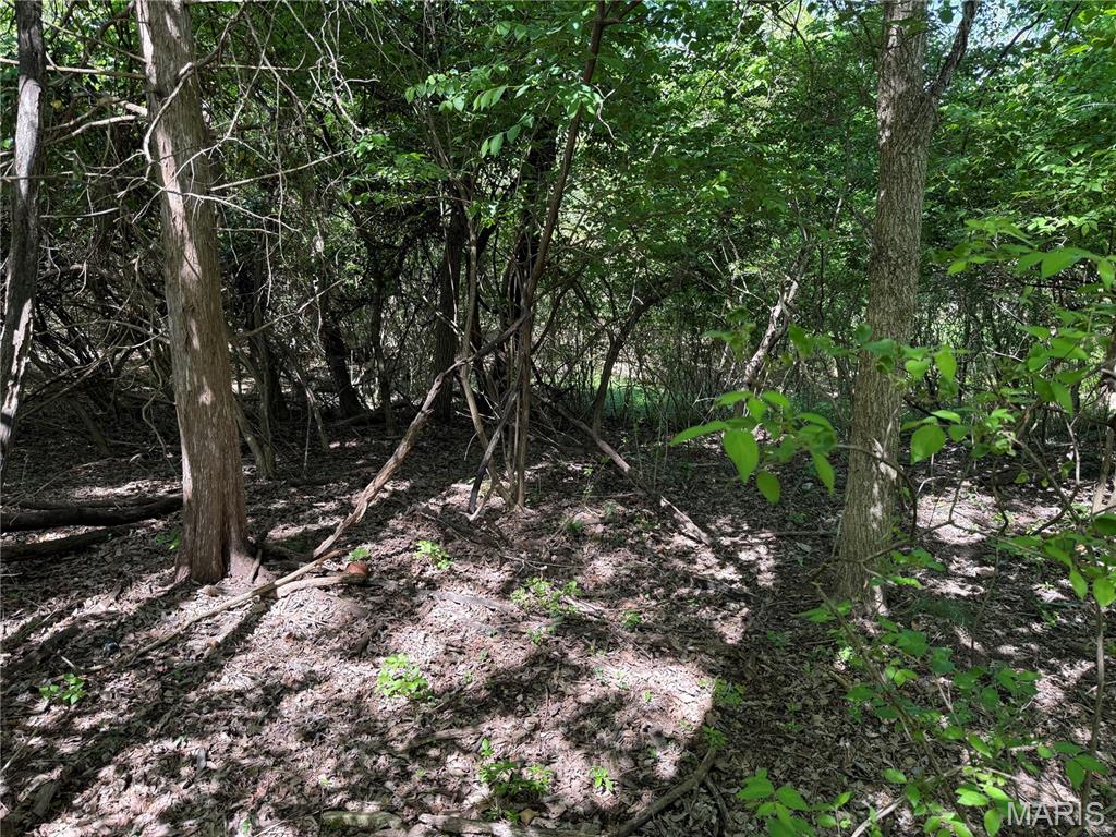 17052 Manchester Road Property Photo 11