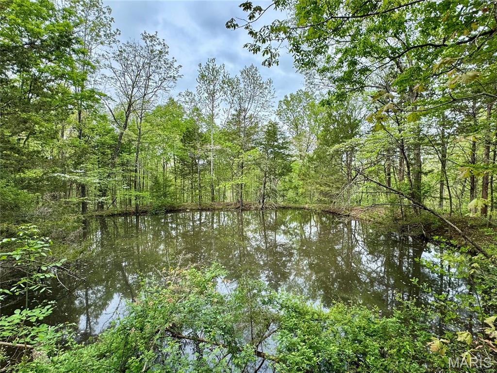 000 Hank Lane Property Photo 3