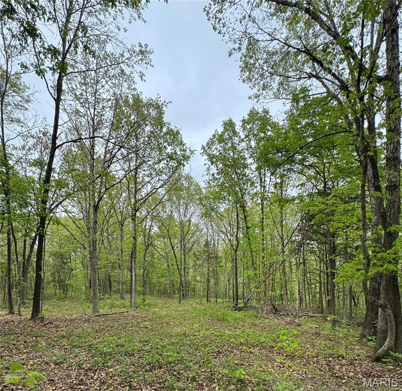 000 Hank Lane Property Photo 4