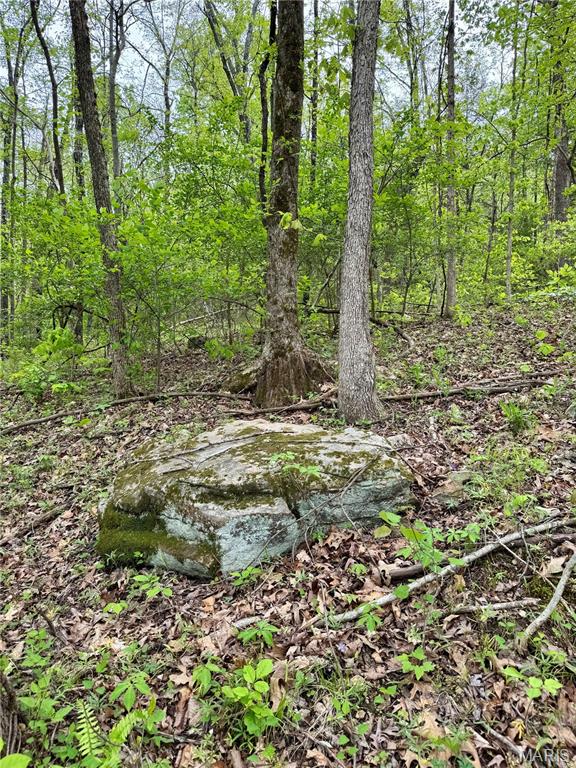 000 Hank Lane Property Photo 6