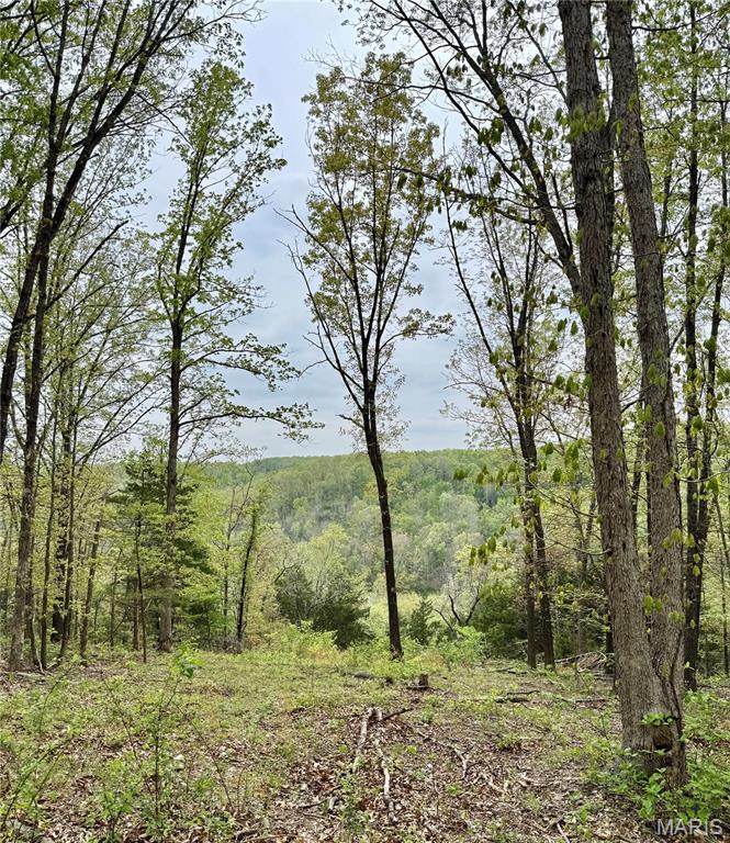 000 Hank Lane Property Photo 7