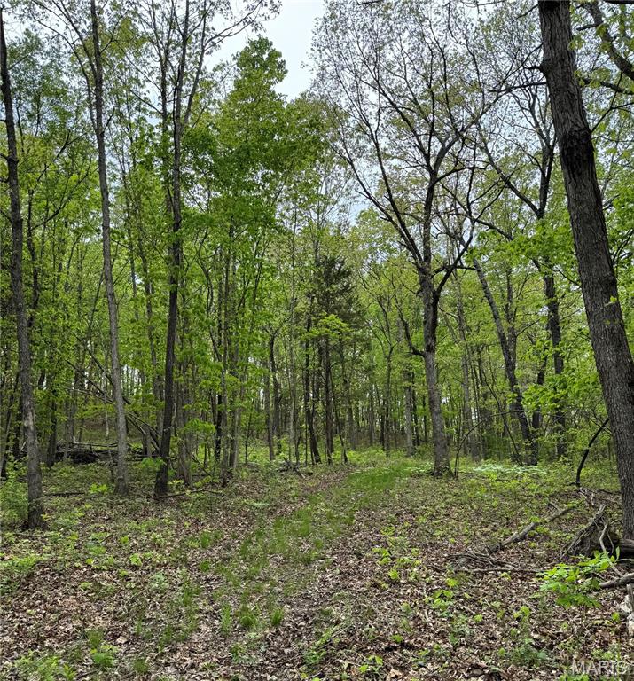 000 Hank Lane Property Photo 8