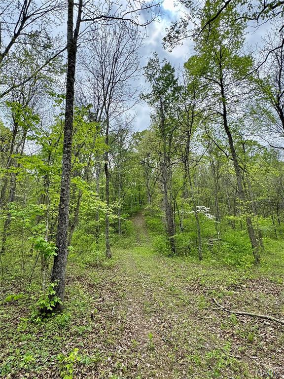 000 Hank Lane Property Photo 10