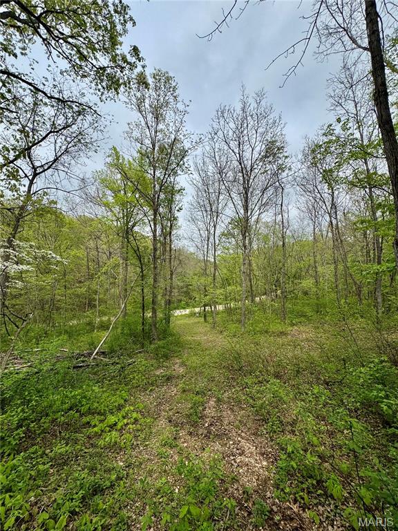 000 Hank Lane Property Photo 11