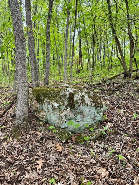 000 Hank Lane Property Photo 12