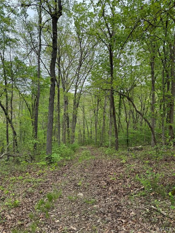 000 Hank Lane Property Photo 13
