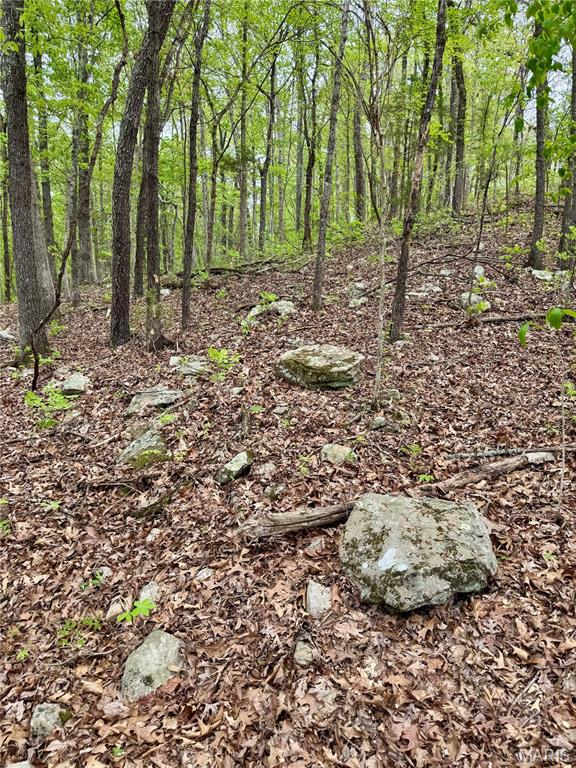 000 Hank Lane Property Photo 14