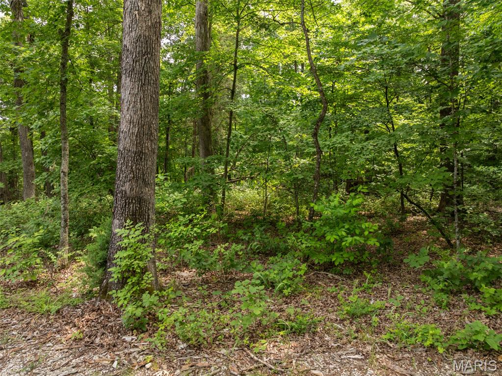 2528 Alpine Trails Drive Property Photo 1