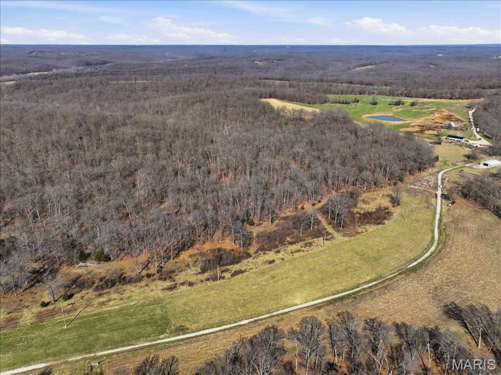 86.6+/- Acre Beechnut Property Photo 2