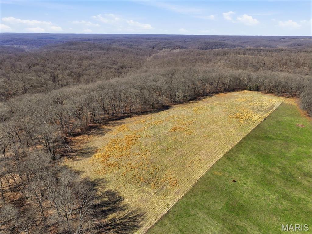86.6+/- Acre Beechnut Property Photo 3