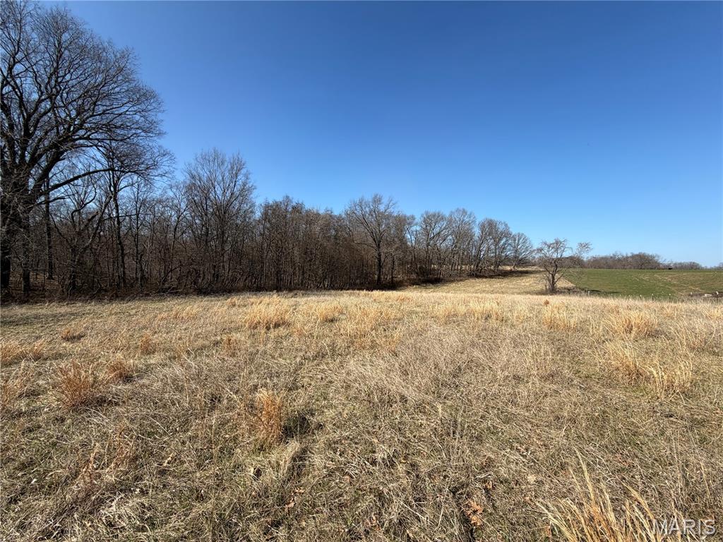 86.6+/- Acre Beechnut Property Photo 4