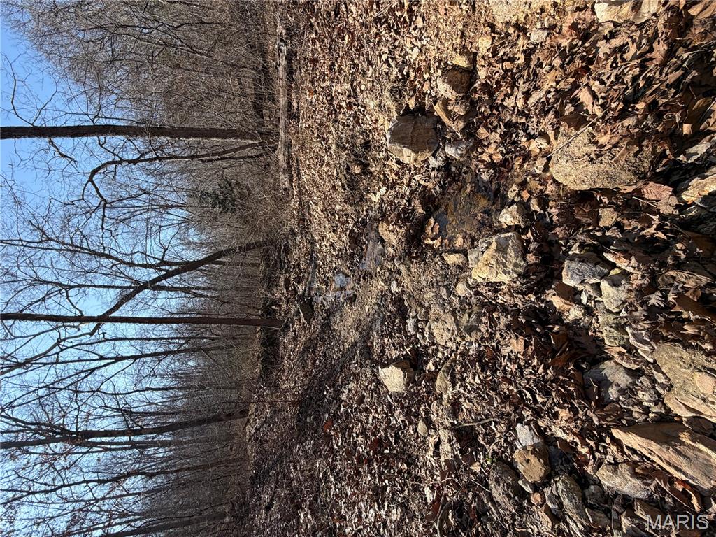 86.6+/- Acre Beechnut Property Photo 8