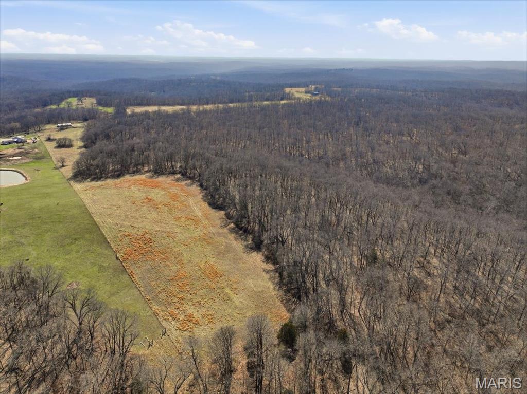 86.6+/- Acre Beechnut Property Photo 9