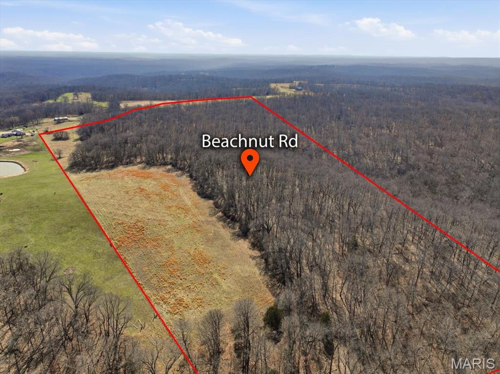 86.6+/- Acre Beechnut Property Photo 11