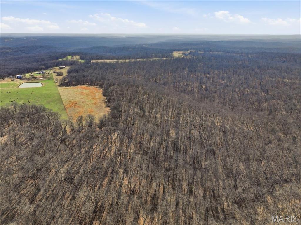 86.6+/- Acre Beechnut Property Photo 12