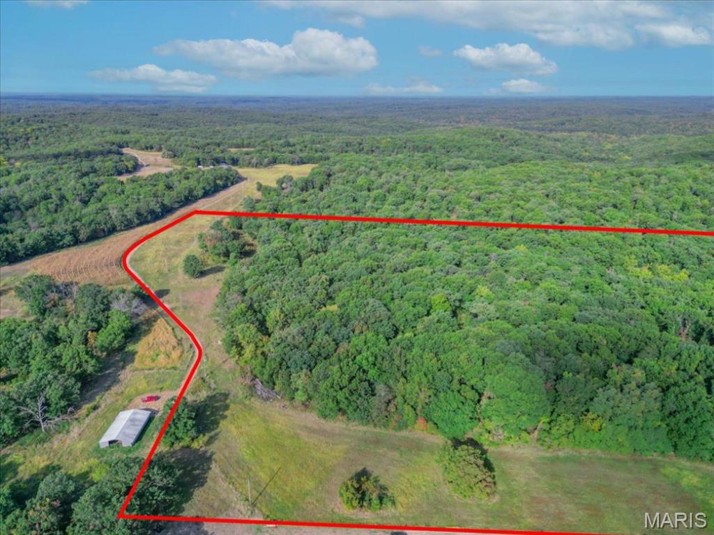 86.6+/- Acre Beechnut Property Photo 13