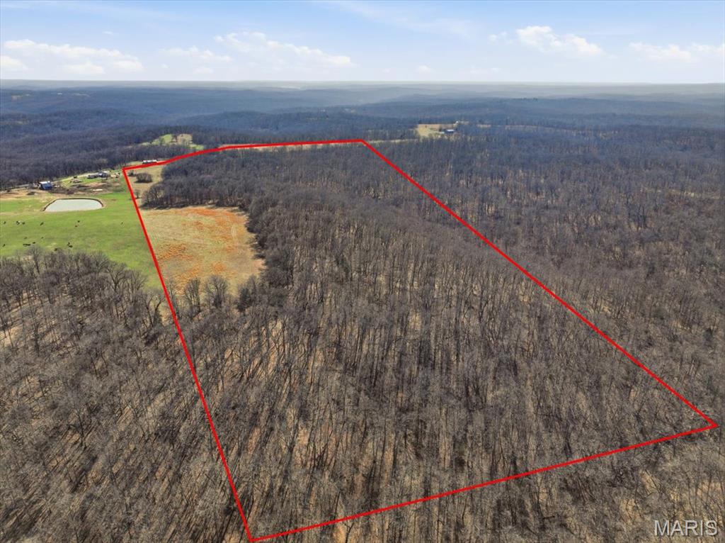 86.6+/- Acre Beechnut Property Photo 14