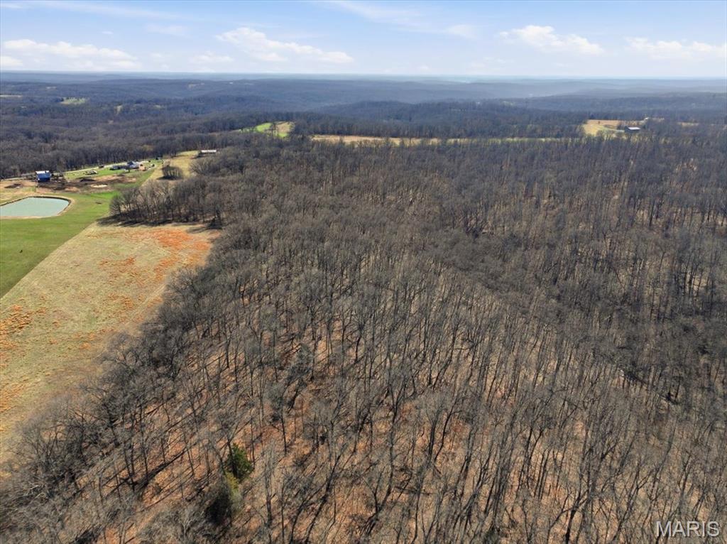 86.6+/- Acre Beechnut Property Photo 16