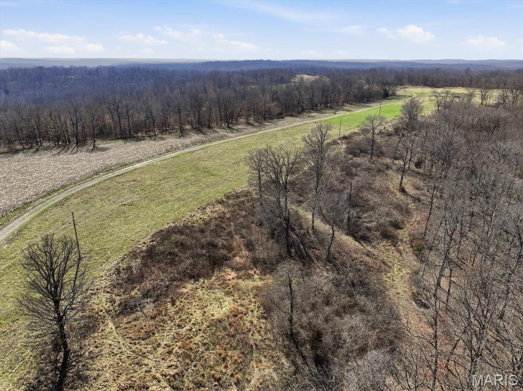 86.6+/- Acre Beechnut Property Photo 17