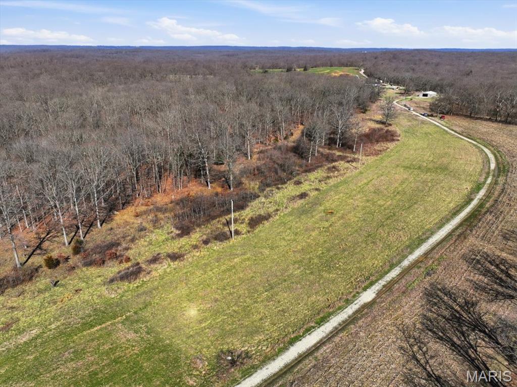 86.6+/- Acre Beechnut Property Photo 18