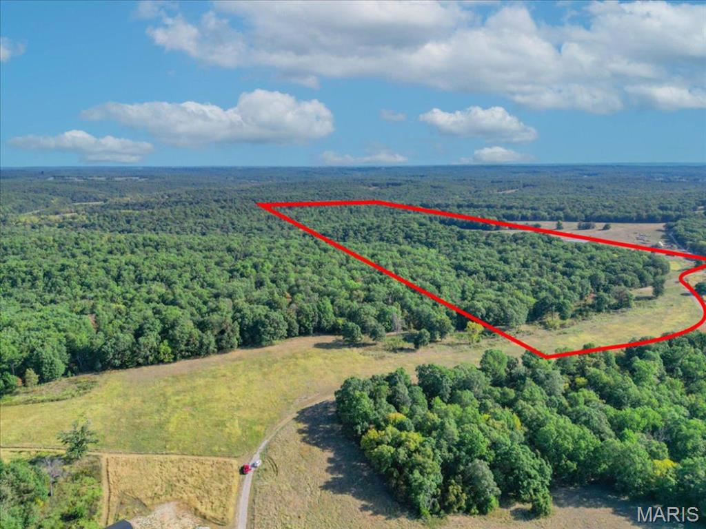 86.6+/- Acre Beechnut Property Photo 19