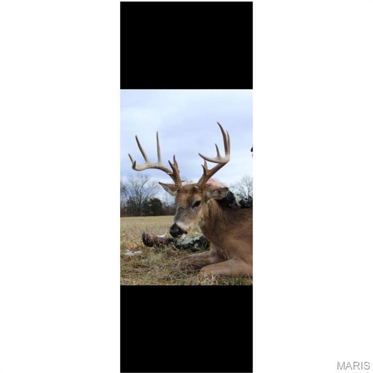 86.6+/- Acre Beechnut Property Photo 20