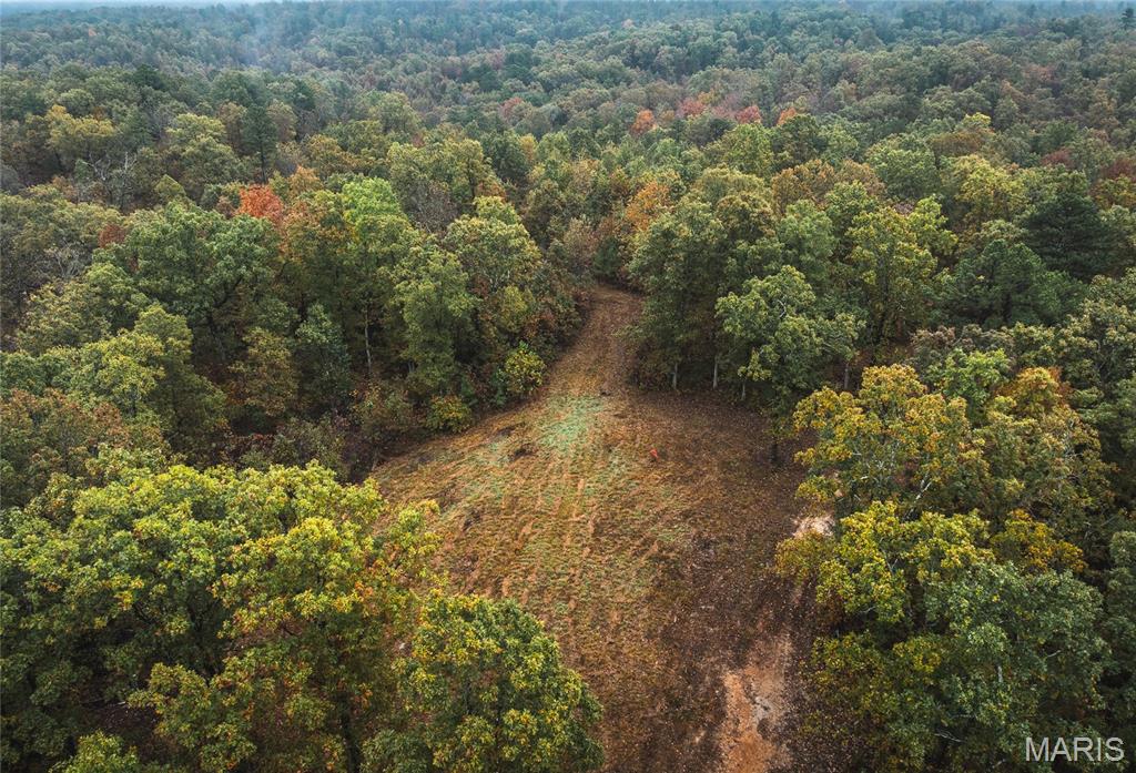 0 Lodge Tract 3a Road Property Photo 7