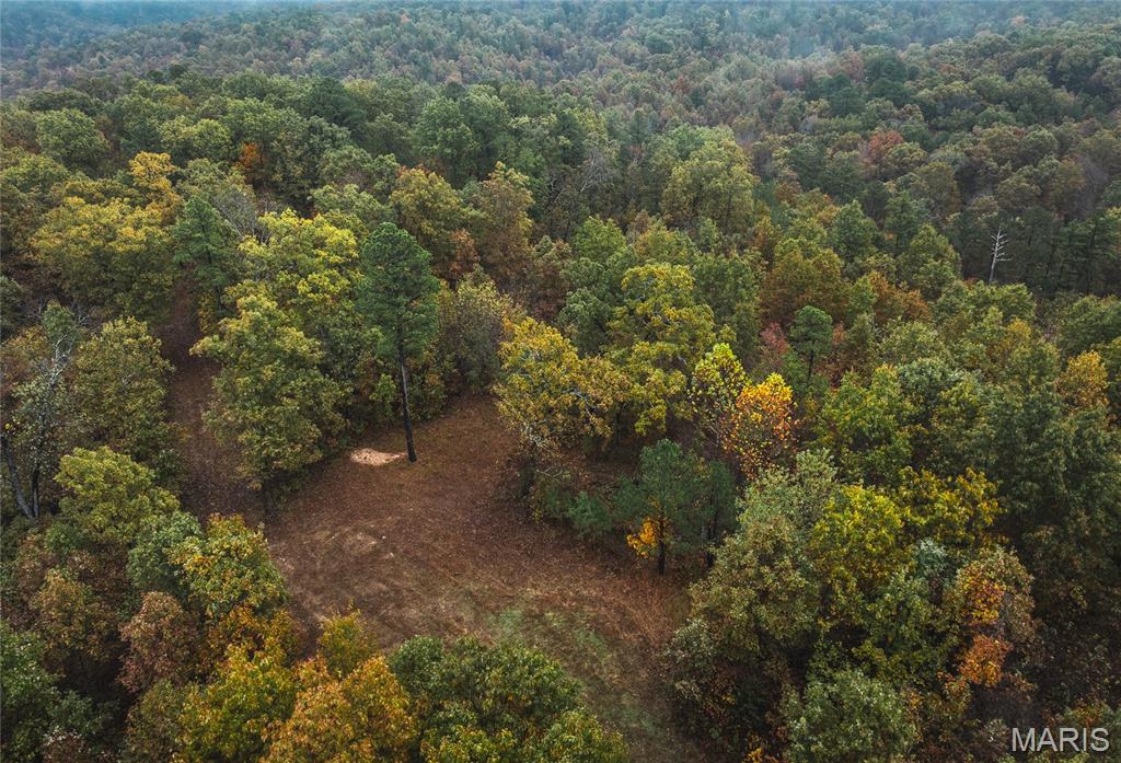0 Lodge Tract 3a Road Property Photo 8