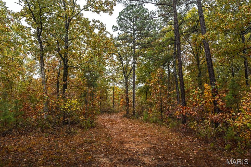 0 Lodge Tract 3a Road Property Photo 15